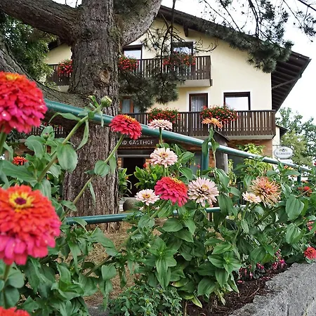 Hotel Hotel-landgasthof Henghuber *