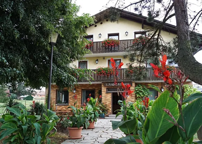 Hotel Hotel-landgasthof Henghuber *