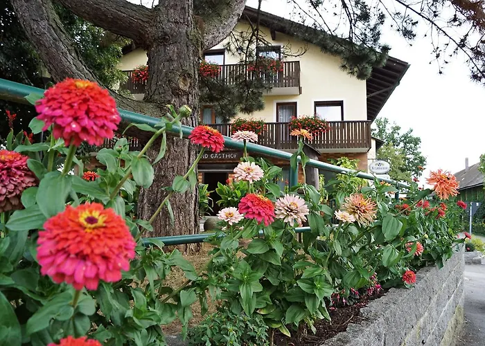 Hotel Hotel-landgasthof Henghuber *